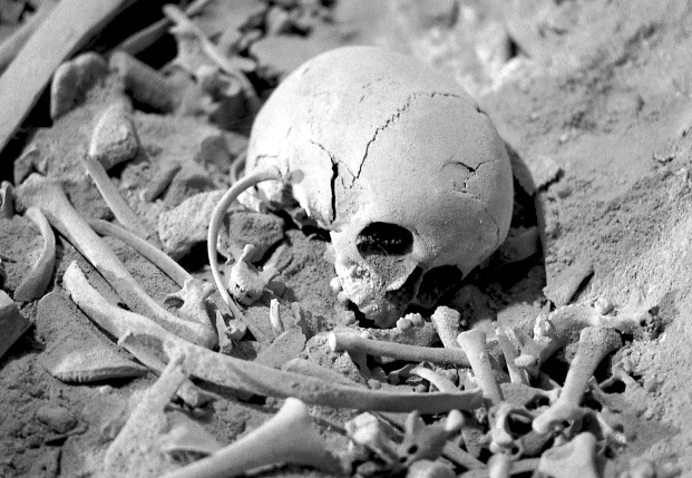 Dead Tell Tales