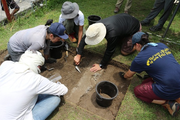 Collaborative excavating