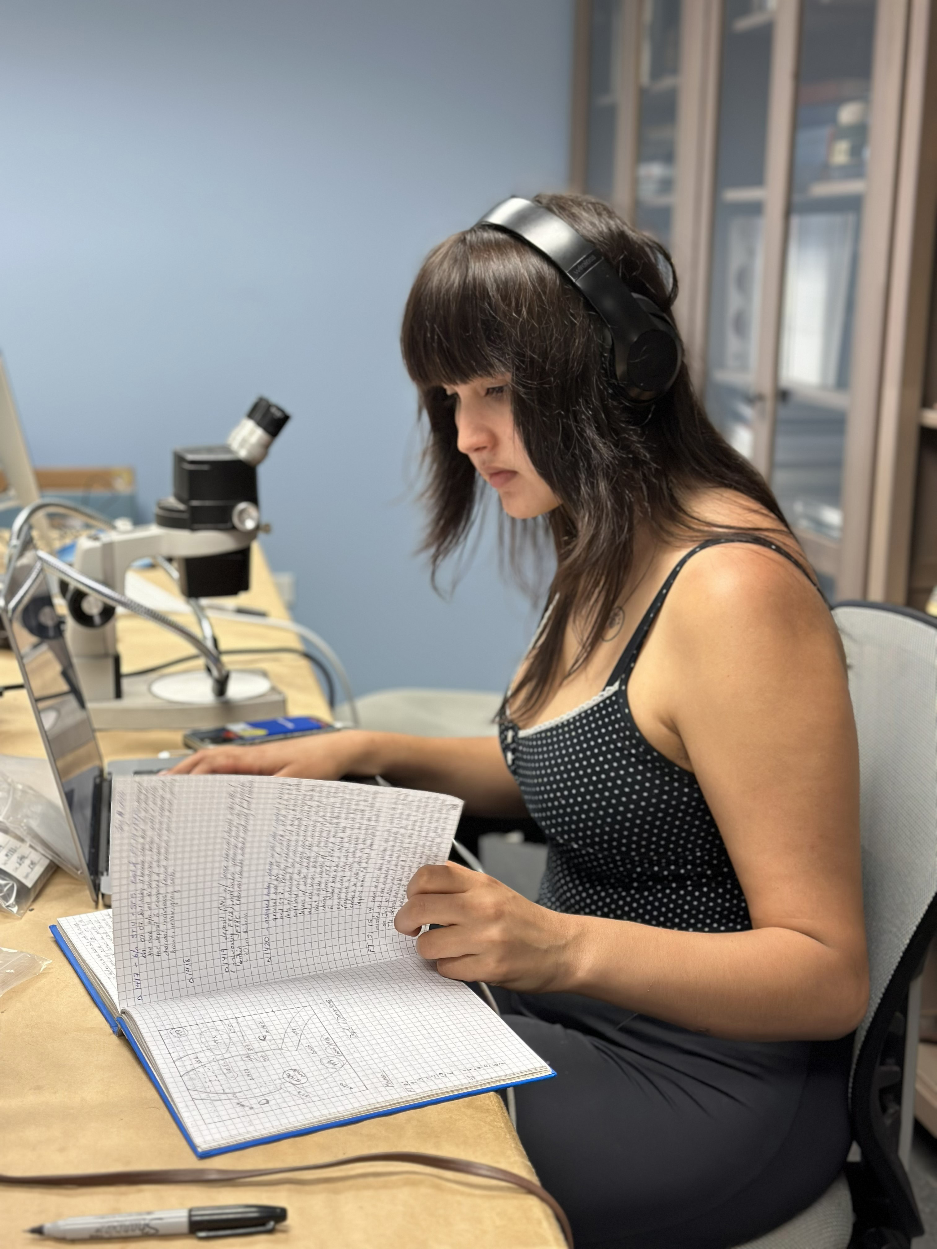 Transcribing field notes
