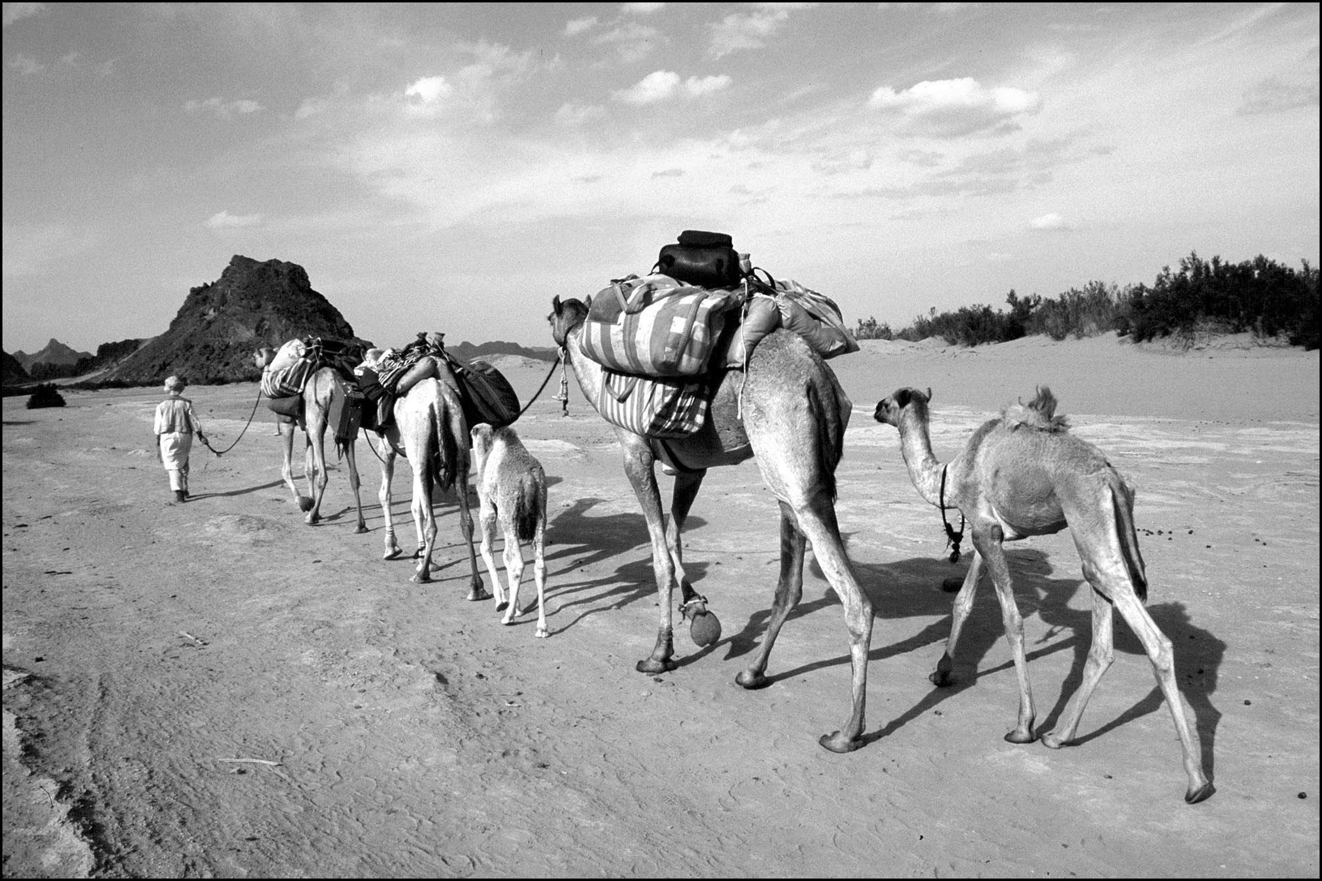 The History of the Peoples of the Eastern Desert 