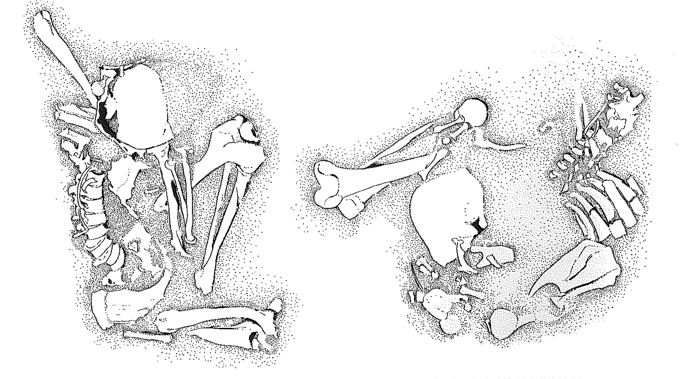 Central California Costal Prehistory