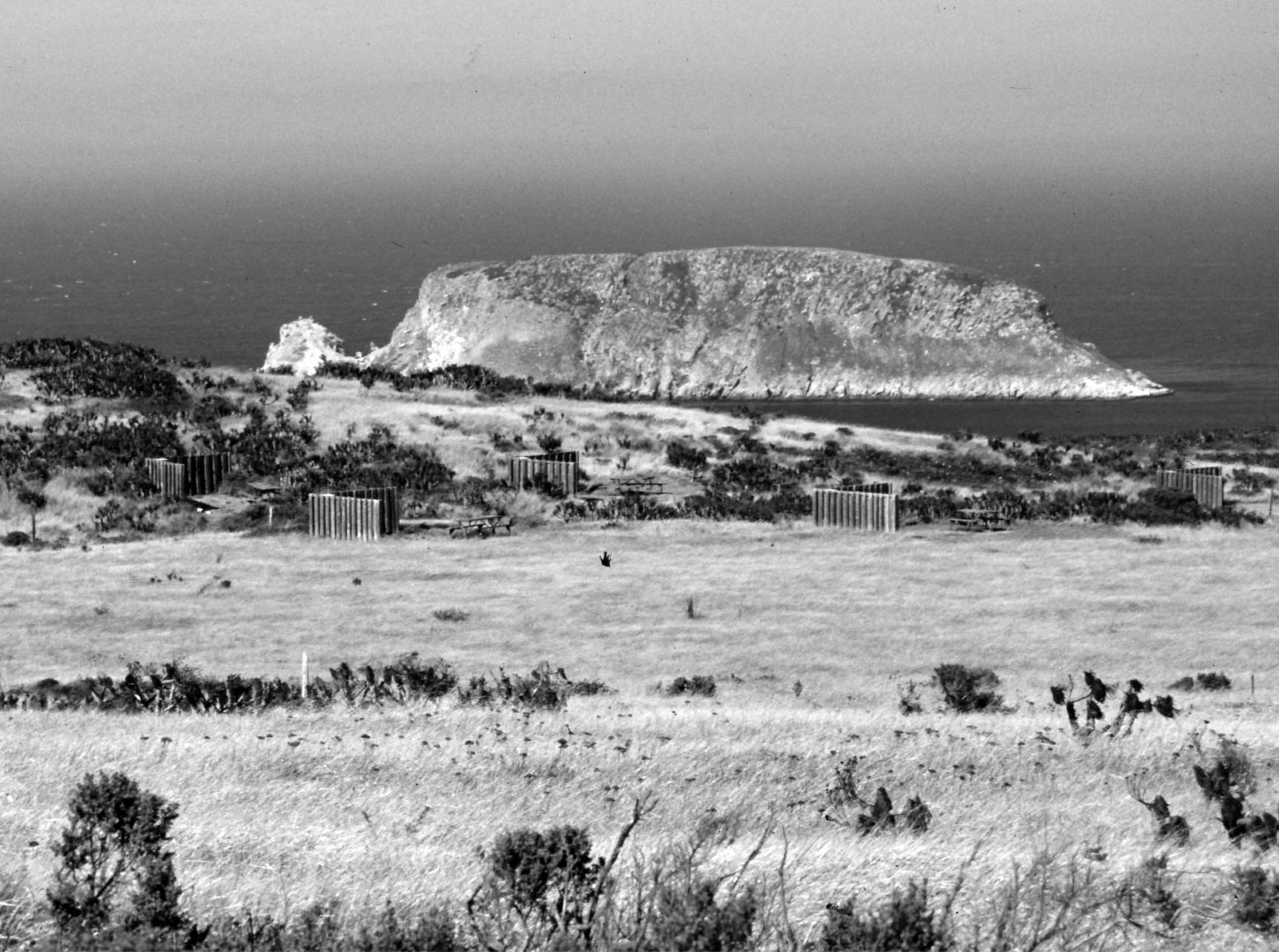 Archaeology and Historical Ecology of Late Holocene San Miguel Island