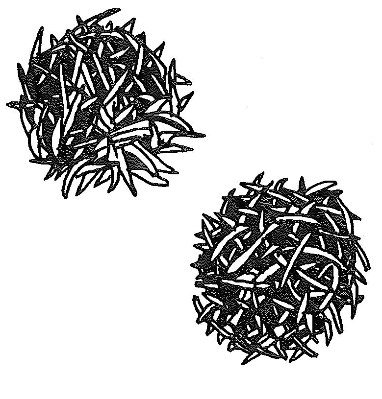 Chert and Flint
