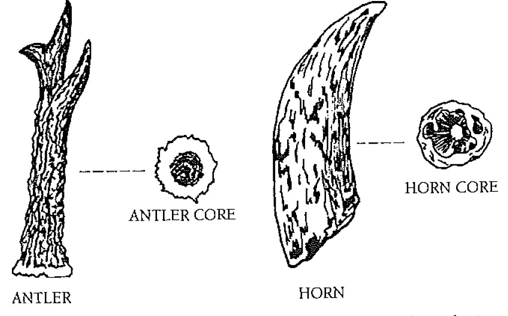 Conservation Manual for the Field Archaeologist